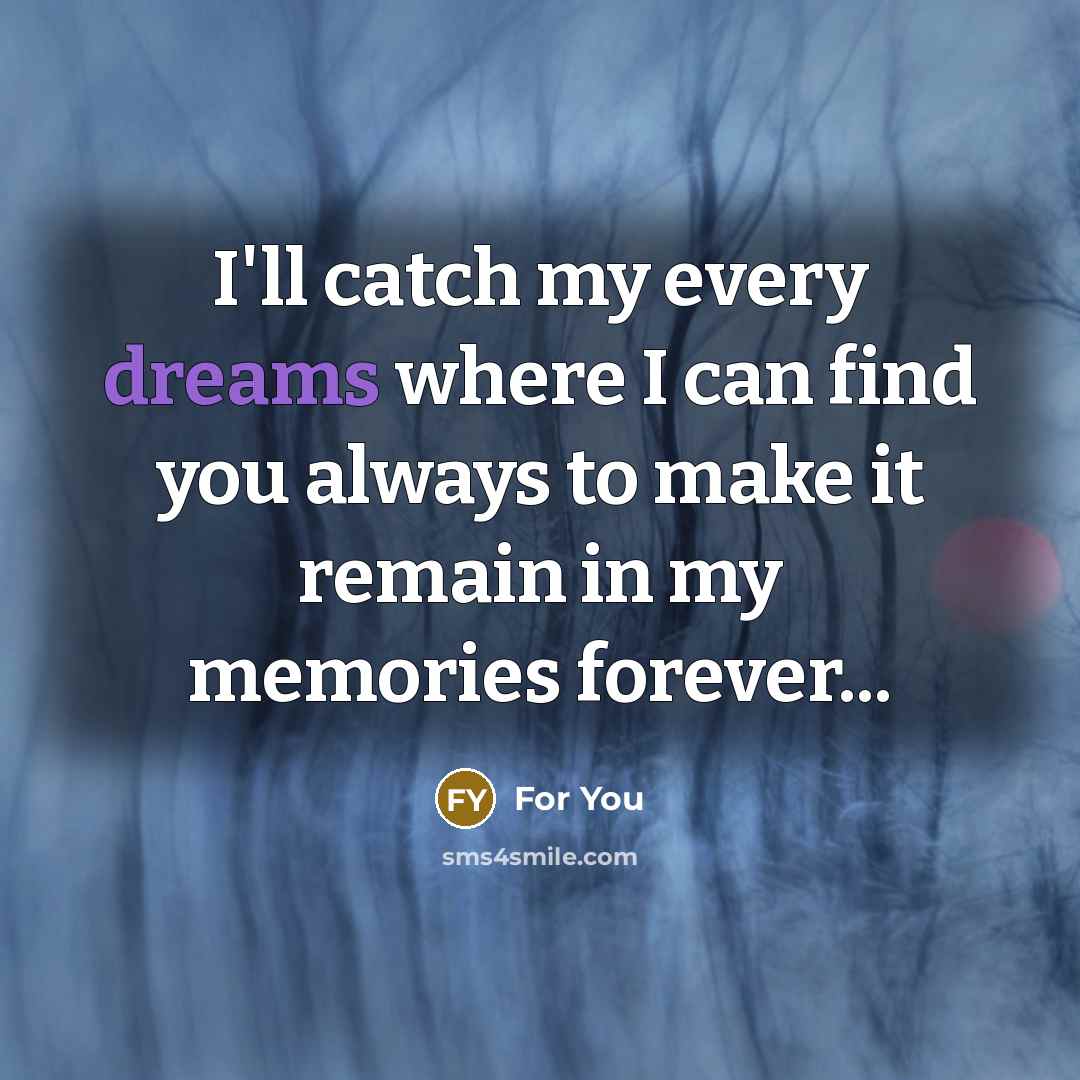 “I'll catch my every dreams where I can find you always to make it remain in my memories forever...” quote by For You
