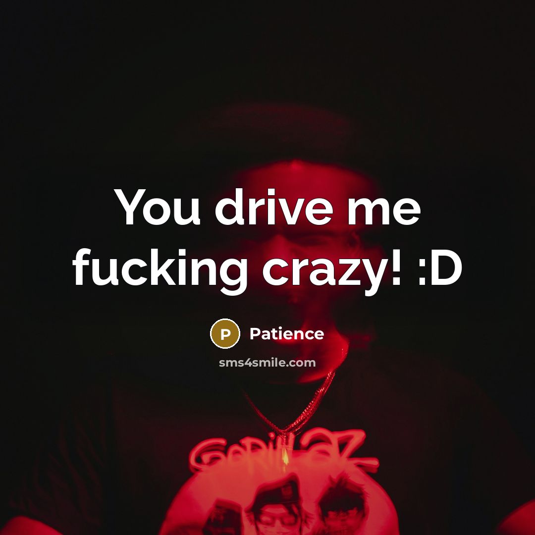 “You drive me fucking crazy! :D…” quote by Patience