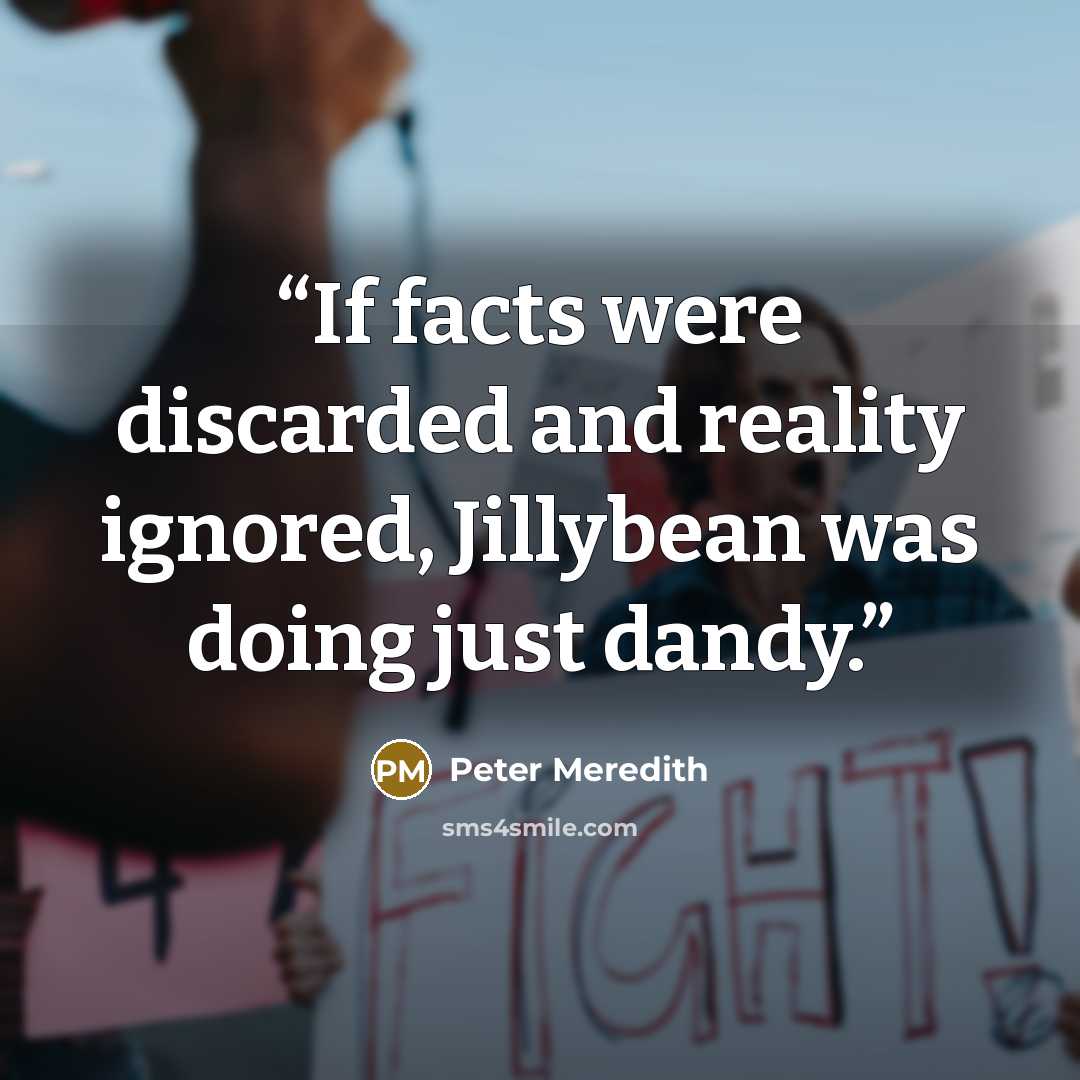 “If facts were discarded and reality ignored, Jillybean was doing just dandy.” quote by Peter Meredith