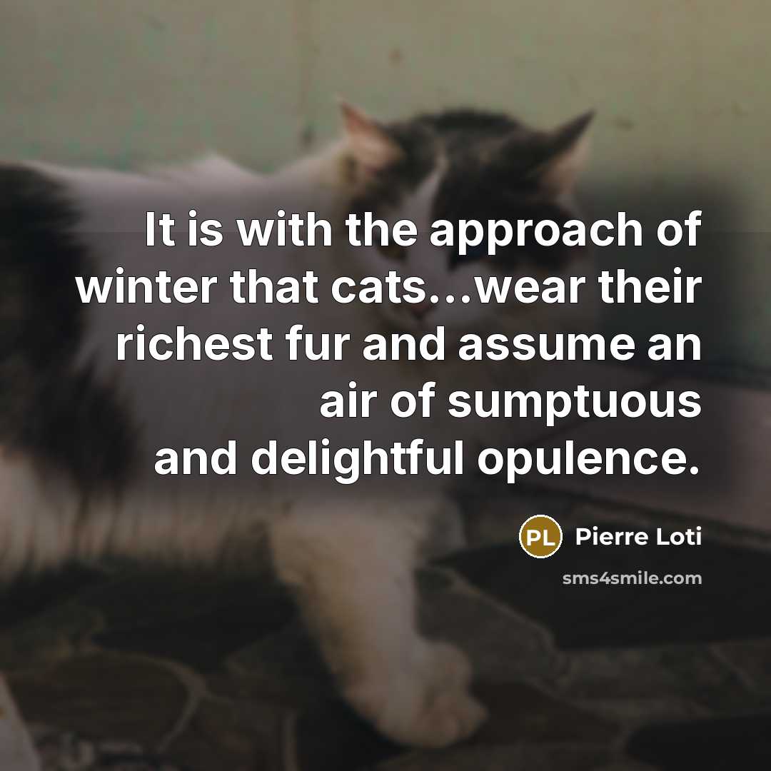 “It is with the approach of winter that cats...wear their…” quote by Pierre Loti