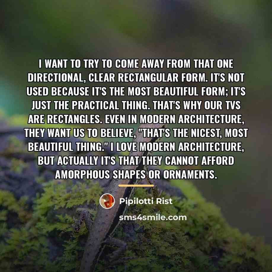 “I want to try to come away from that one…” quote by Pipilotti Rist