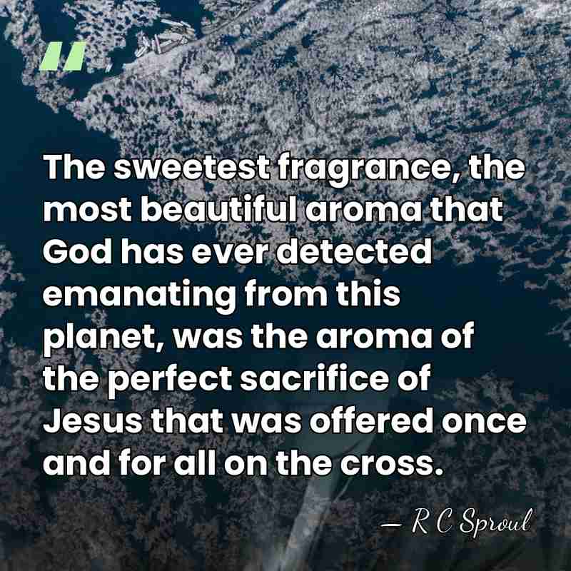The sweetest fragrance, the most beautiful aroma that God has ever detected&hellip; - R C Sproul