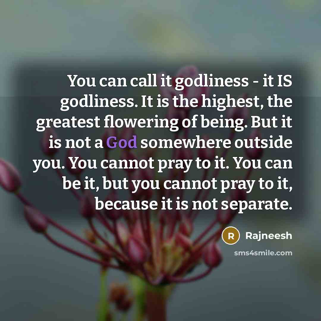 “You can call it godliness - it IS godliness. It…” quote by Rajneesh