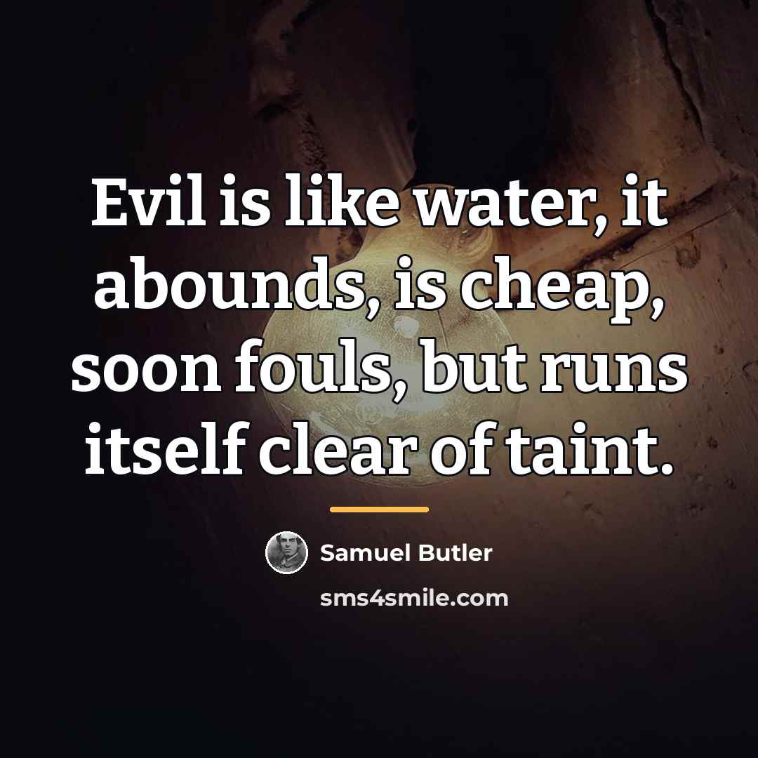 “Evil is like water, it abounds, is cheap, soon fouls,…” quote by Samuel Butler