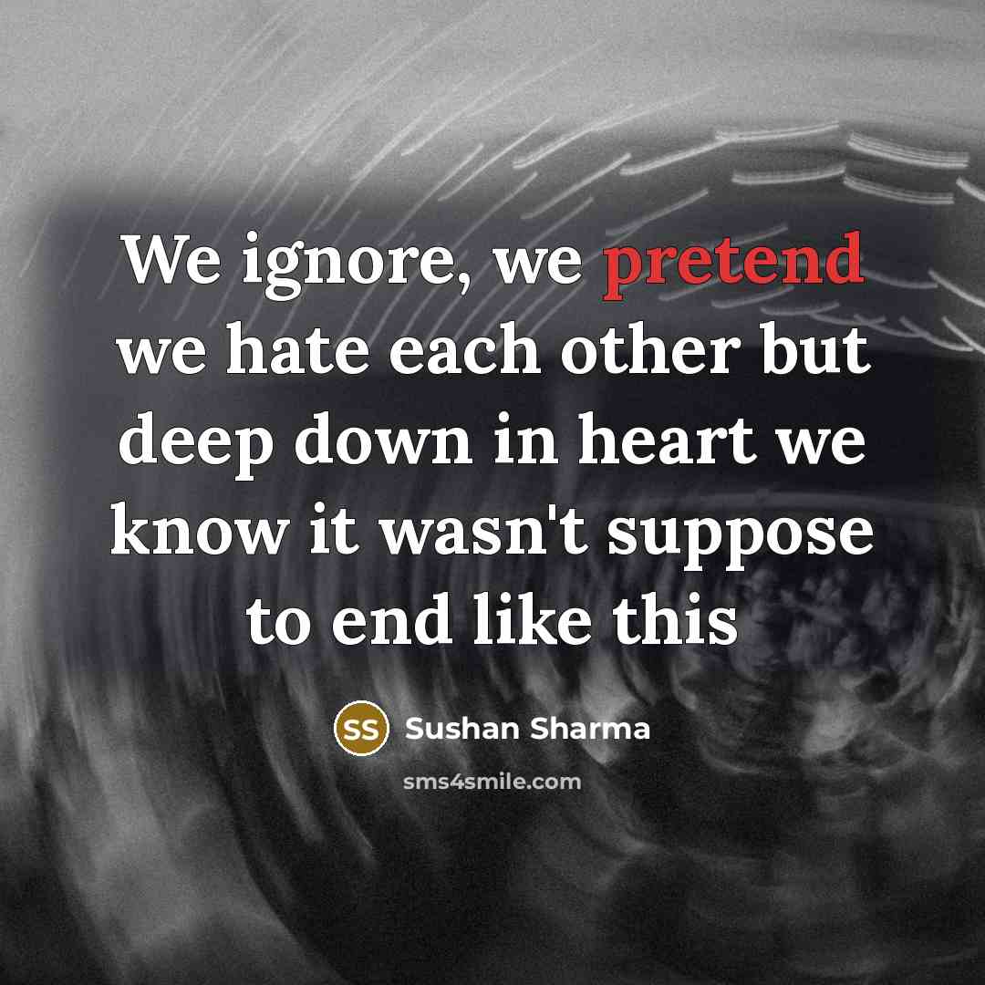 “We ignore, we pretend we hate each other but deep…” quote by Sushan Sharma