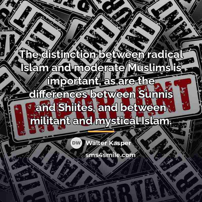 “The distinction between radical Islam and moderate Muslims is important,…” quote by Walter Kasper