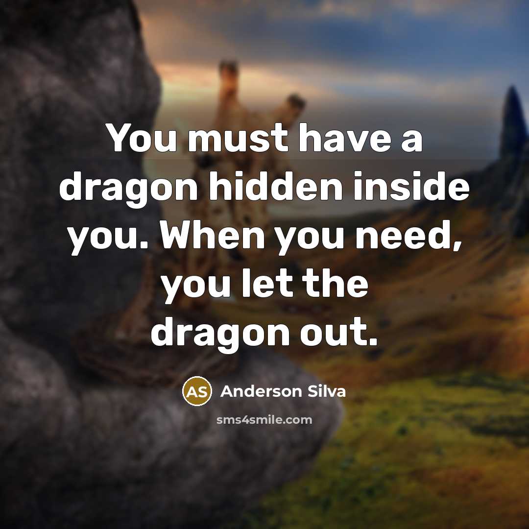 “You must have a dragon hidden inside you. When you need, you let the dragon out.” quote by Anderson Silva
