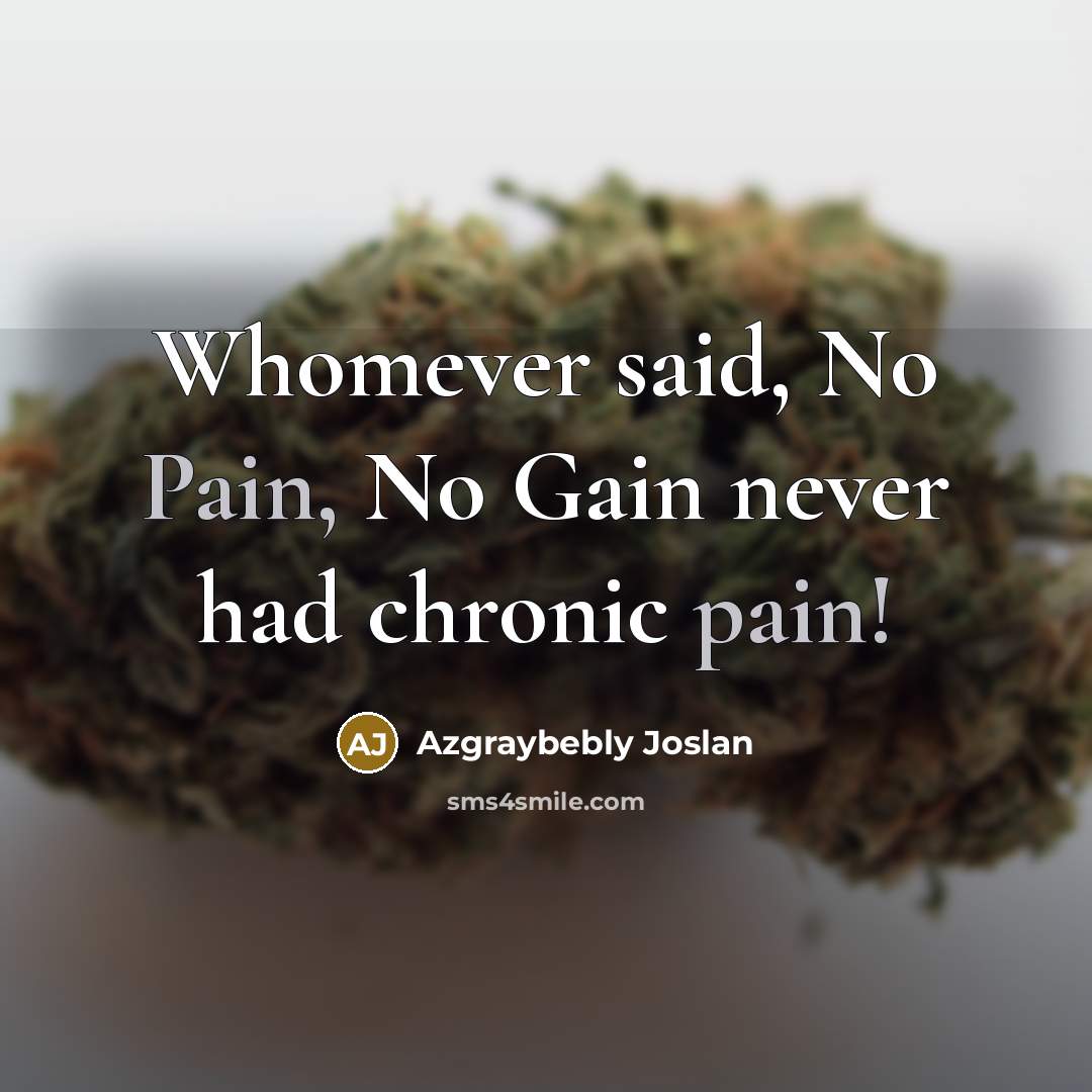 “Whomever said, No Pain, No Gain never had chronic pain!…” quote by Azgraybebly Joslan