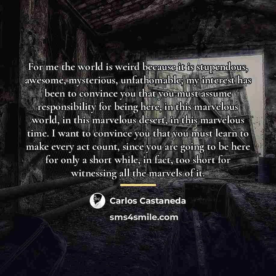 “For me the world is weird because it is stupendous,…” quote by Carlos Castaneda