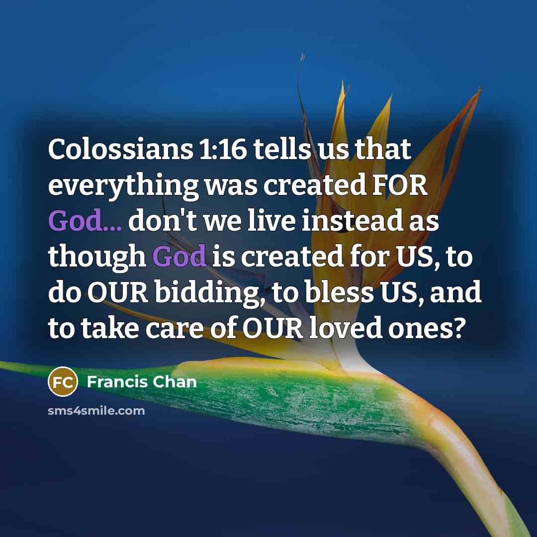 “Colossians 1:16 tells us that everything was created FOR God...…” quote by Francis Chan