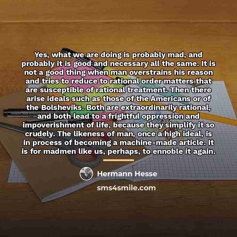 “Yes, what we are doing is probably mad, and probably…” quote by Hermann Hesse