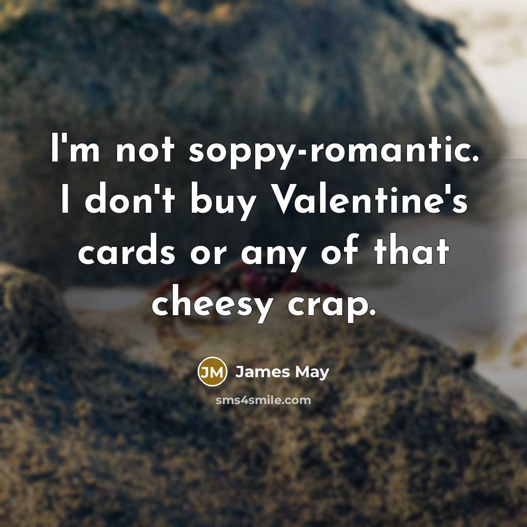 “I'm not soppy-romantic. I don't buy Valentine's cards or any…” quote by James May