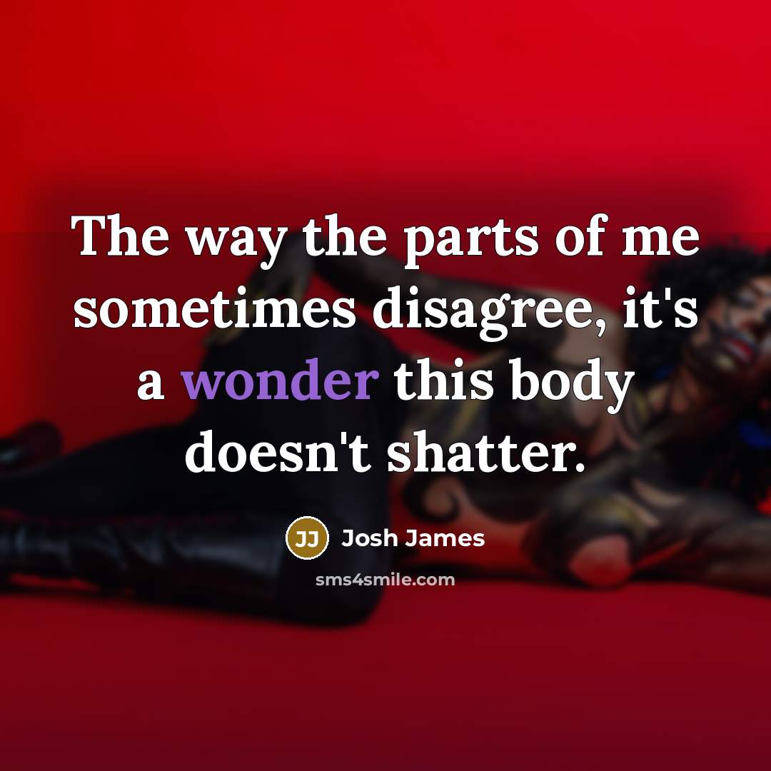 “The way the parts of me sometimes disagree, it's a…” quote by Josh James