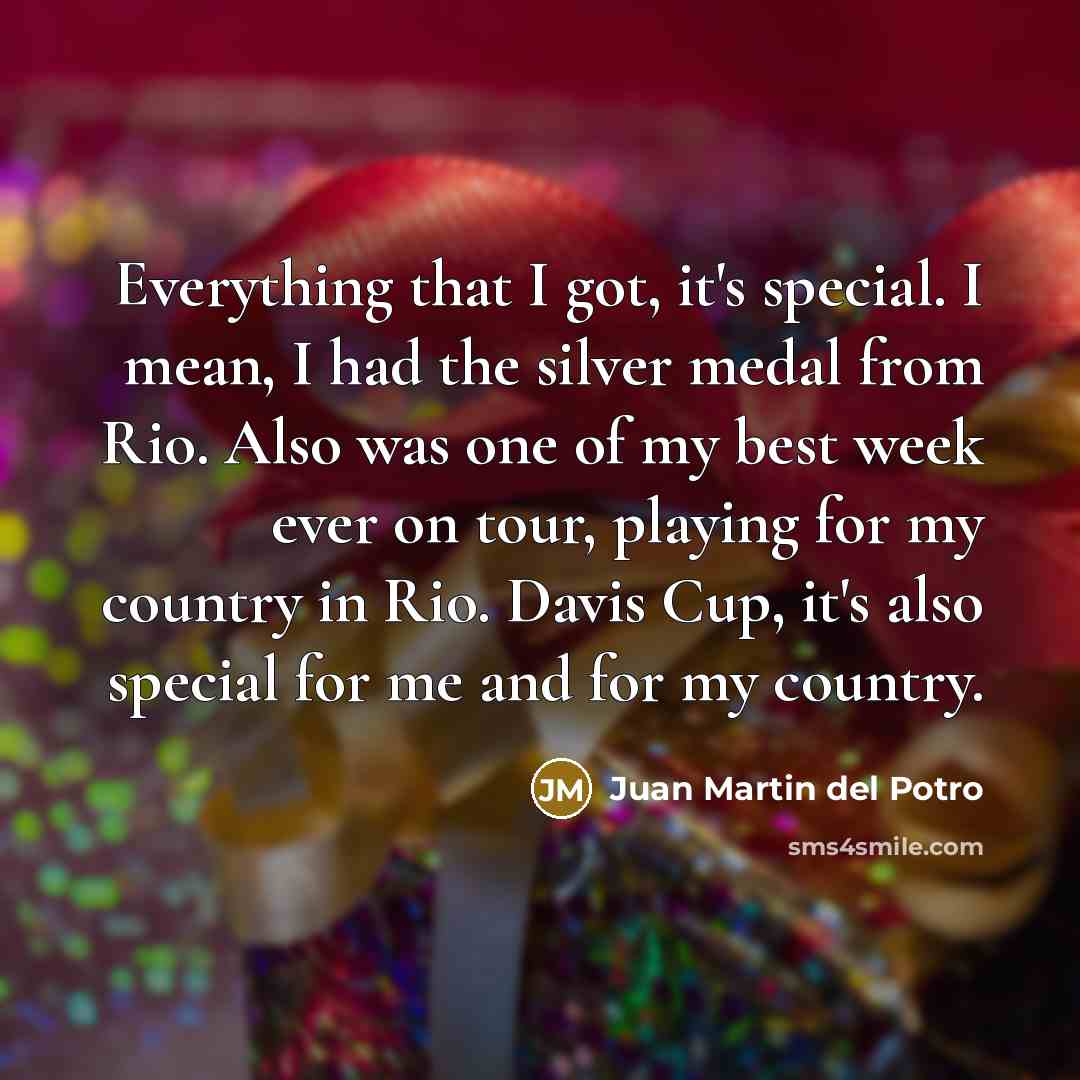 “Everything that I got, it's special. I mean, I had…” quote by Juan Martin del Potro