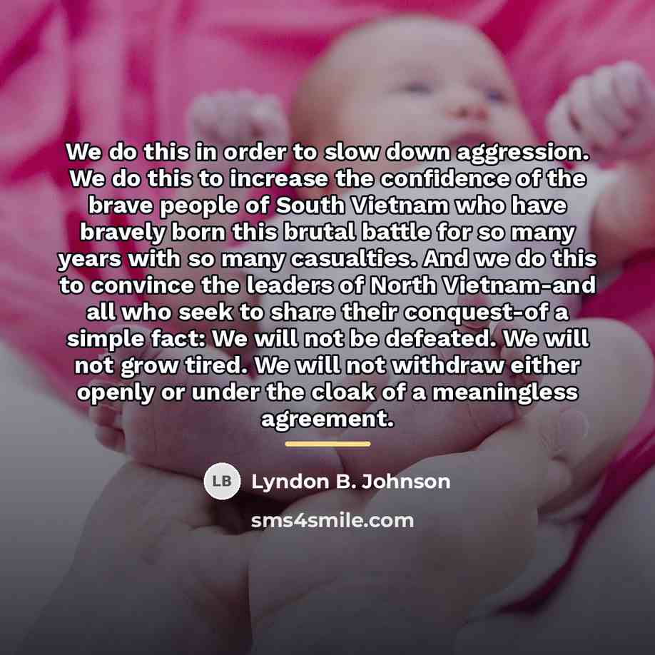 “We do this in order to slow down aggression. We…” quote by Lyndon B. Johnson