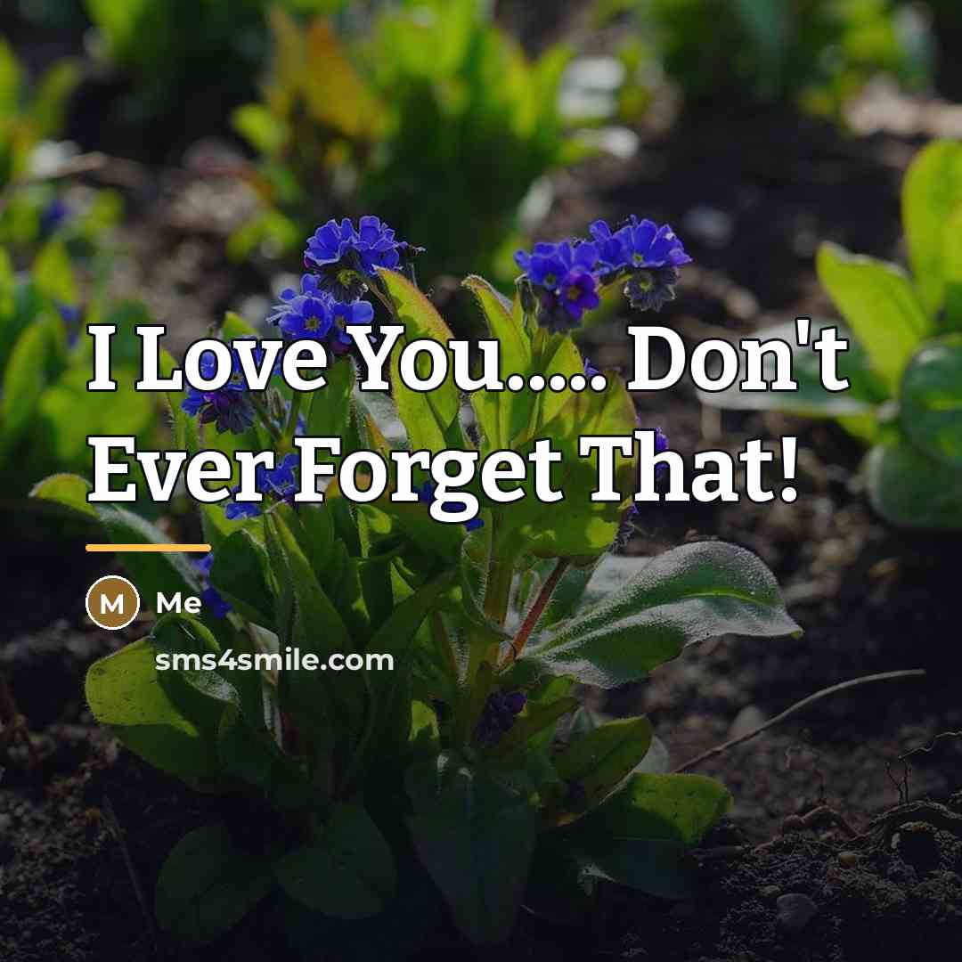 “I Love You..... Don't Ever Forget That!…” quote by Me