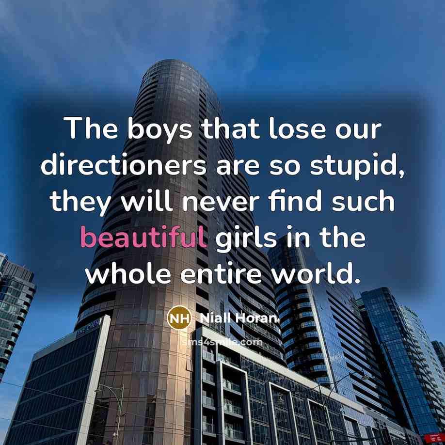 “The boys that lose our directioners are so stupid, they…” quote by Niall Horan