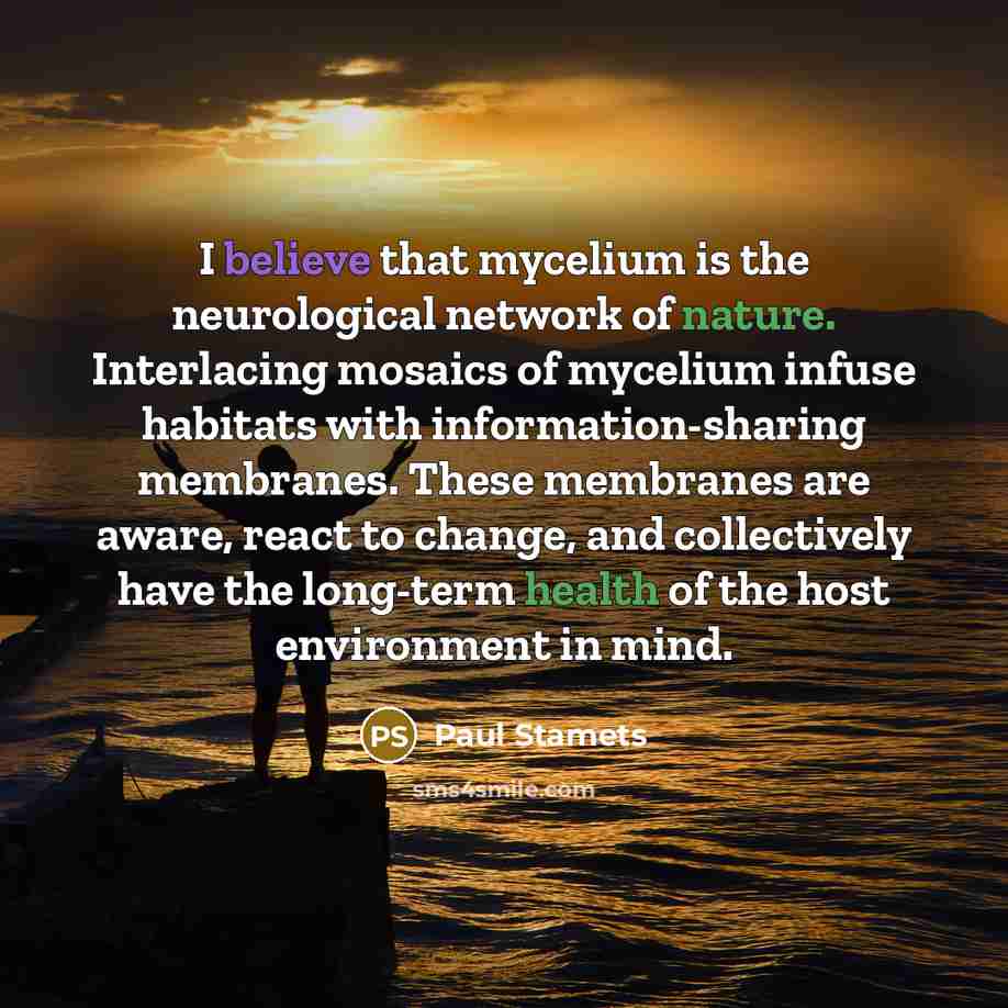 “I believe that mycelium is the neurological network of nature.…” quote by Paul Stamets
