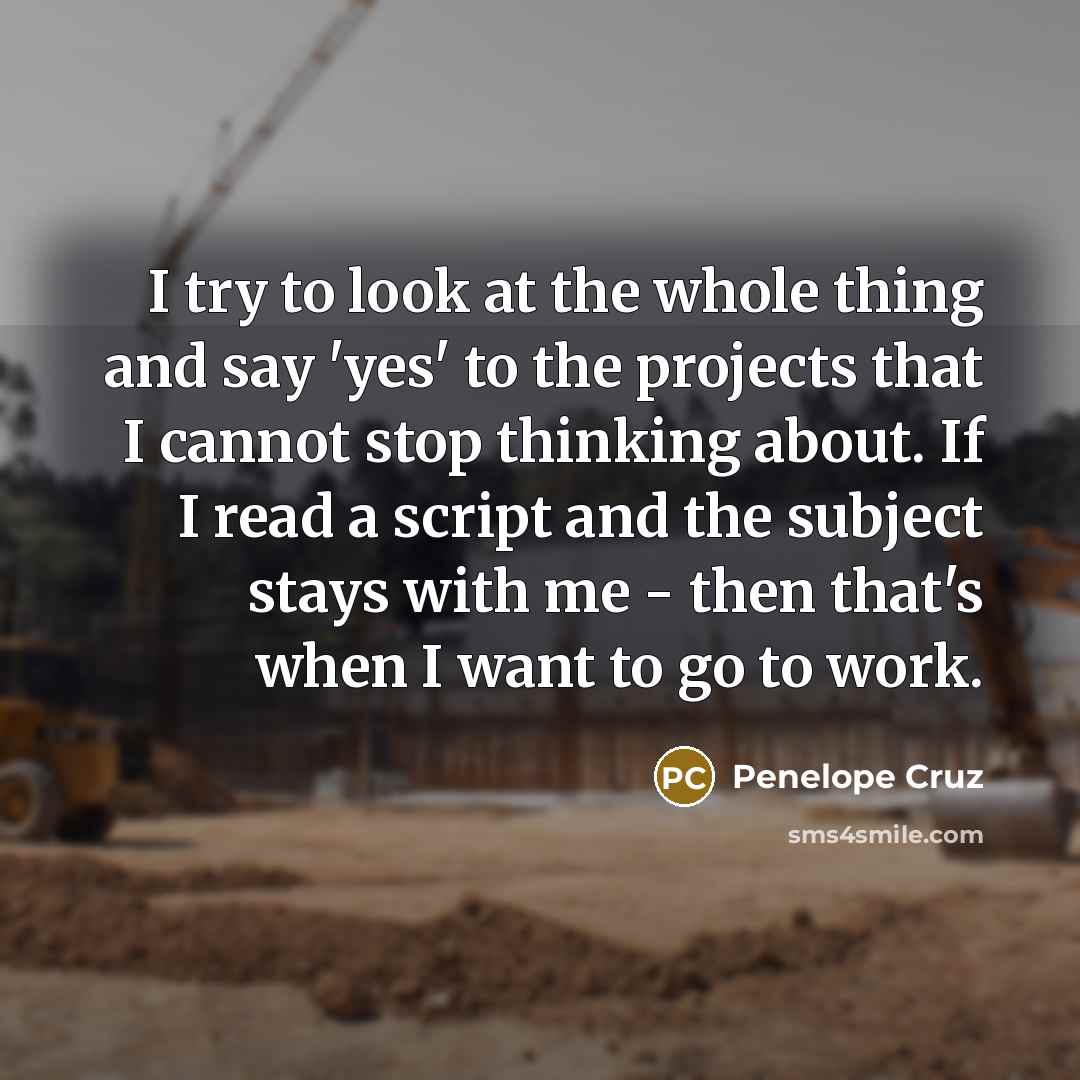“I try to look at the whole thing and say…” quote by Penelope Cruz
