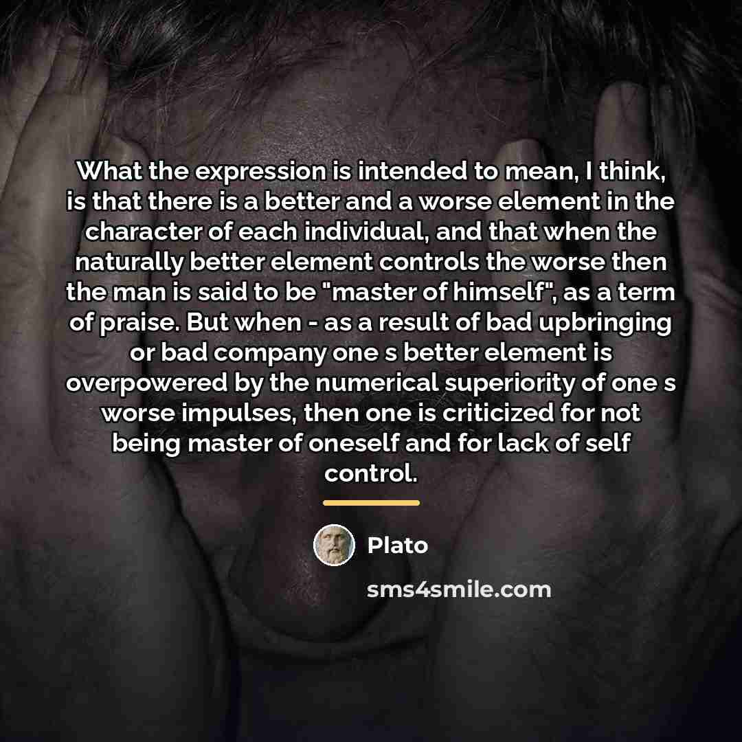 “What the expression is intended to mean, I think, is…” quote by Plato