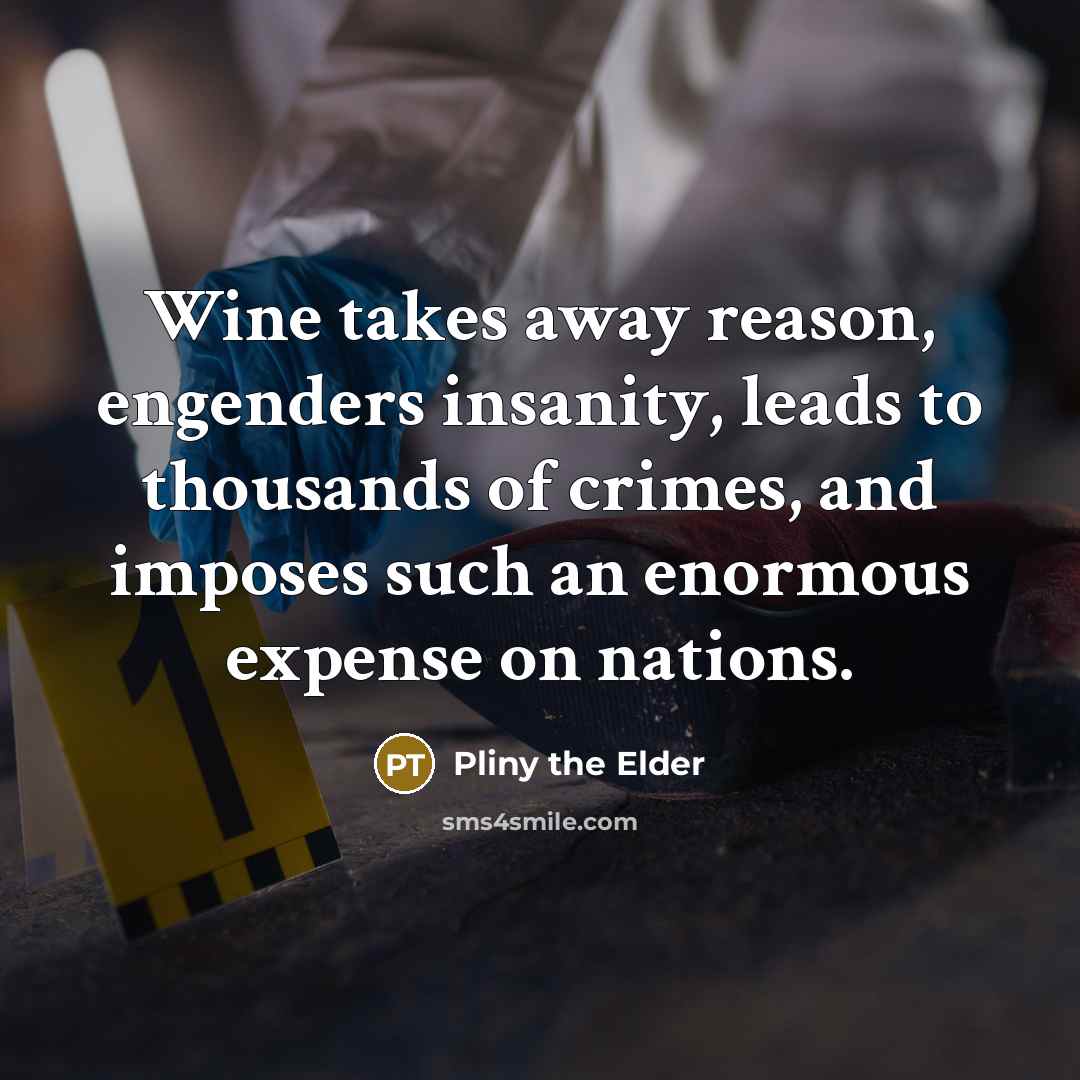 “Wine takes away reason, engenders insanity, leads to thousands of…” quote by Pliny the Elder