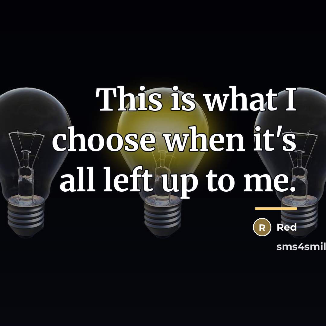 “This is what I choose when it's all left up…” quote by Red