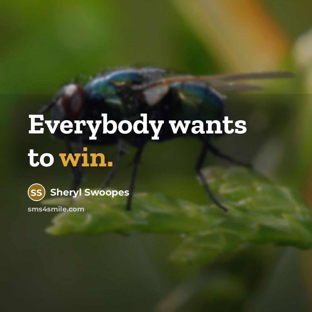 “Everybody wants to win.…” quote by Sheryl Swoopes