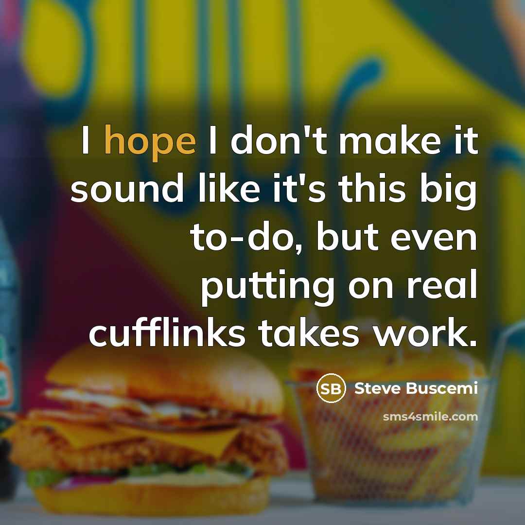 “I hope I don't make it sound like it's this…” quote by Steve Buscemi