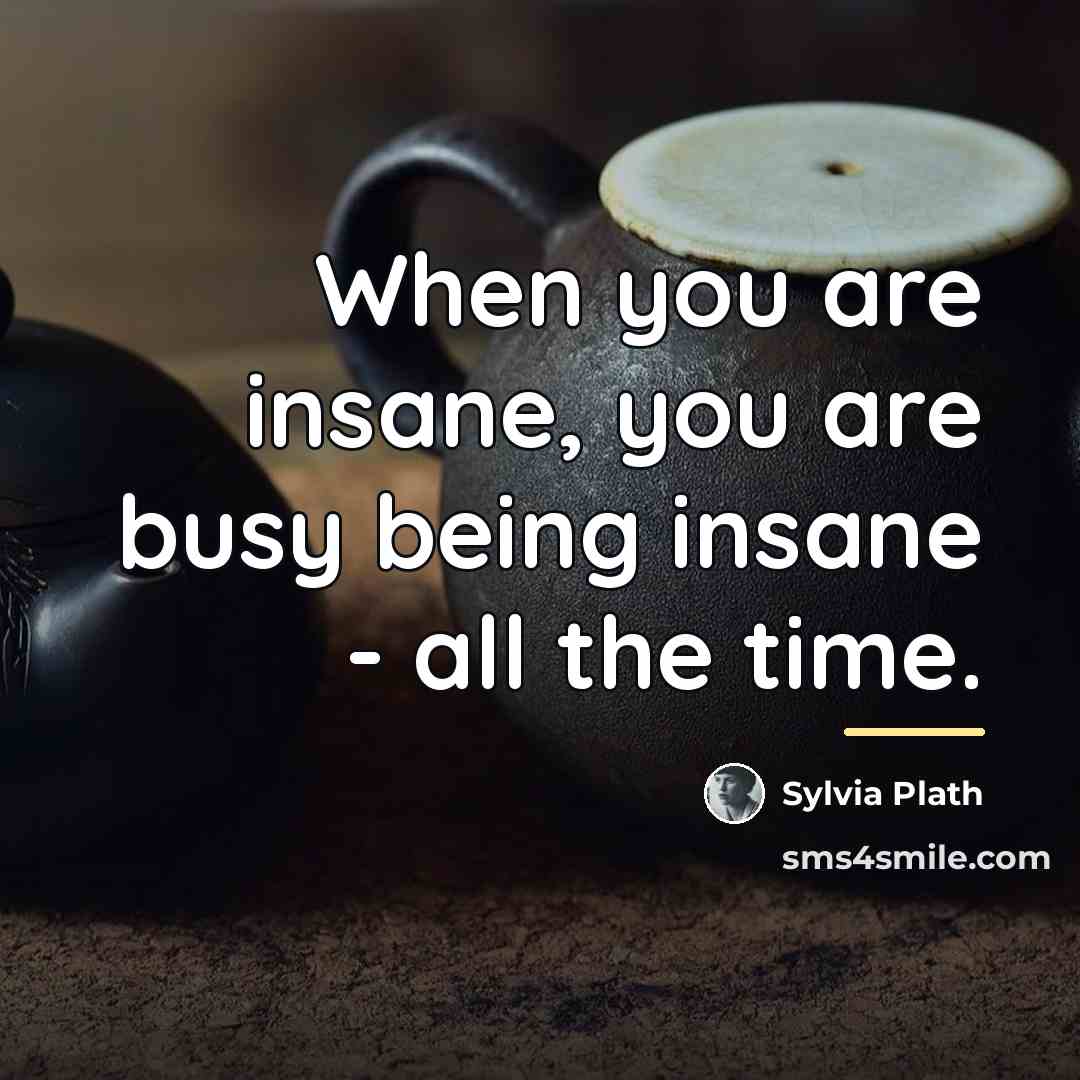 “When you are insane, you are busy being insane -…” quote by Sylvia Plath