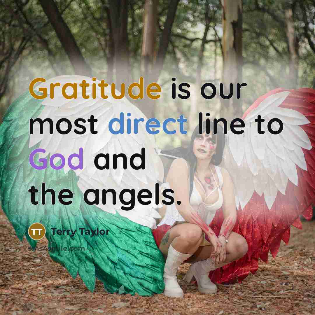 “Gratitude is our most direct line to God and the…” quote by Terry Taylor