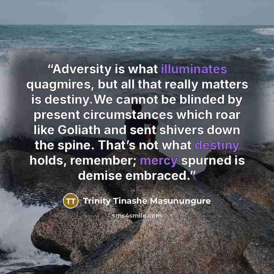 “Adversity is what illuminates quagmires, but all that really matters is destiny.We cannot be blinded by present circumstances which roar like Goliath and sent shivers down the spine. That’s not what destiny holds, remember; mercy spurned is demise embraced.” quote by Trinity Tinashe Masunungure