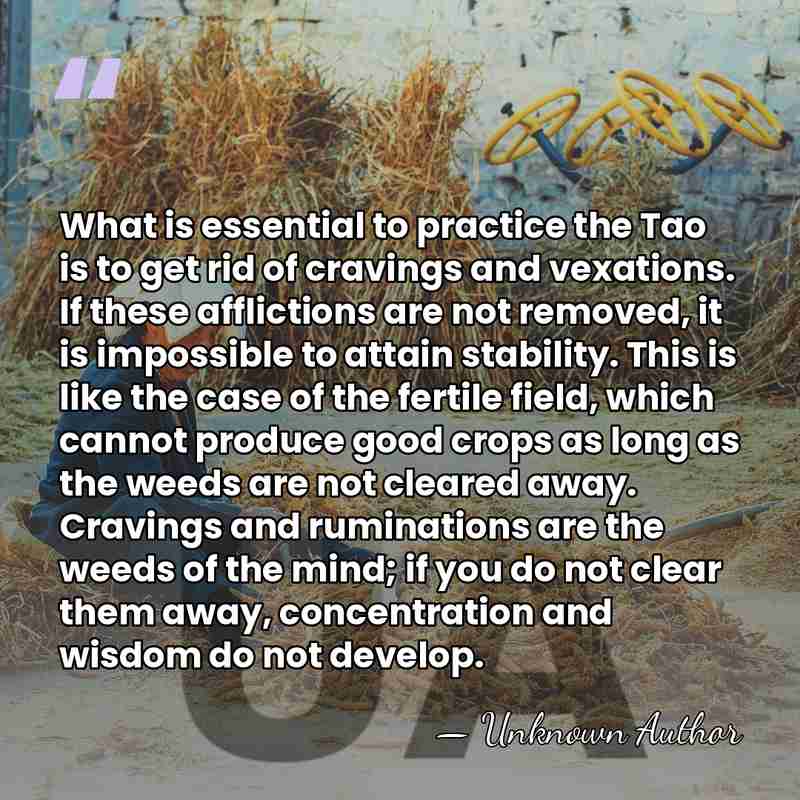 What is essential to practice the Tao is to get rid of&hellip; - Unknown Author