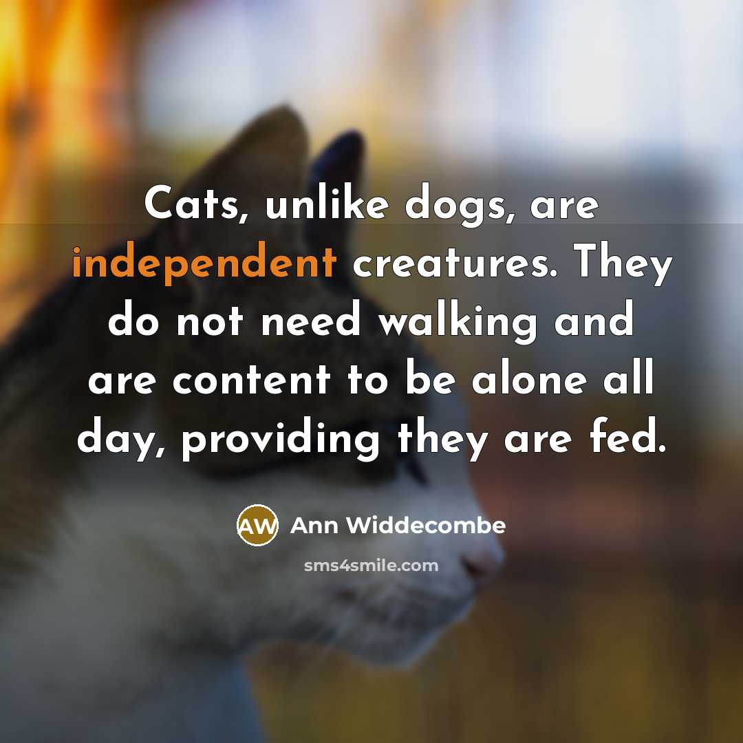 “Cats, unlike dogs, are independent creatures. They do not need…” quote by Ann Widdecombe