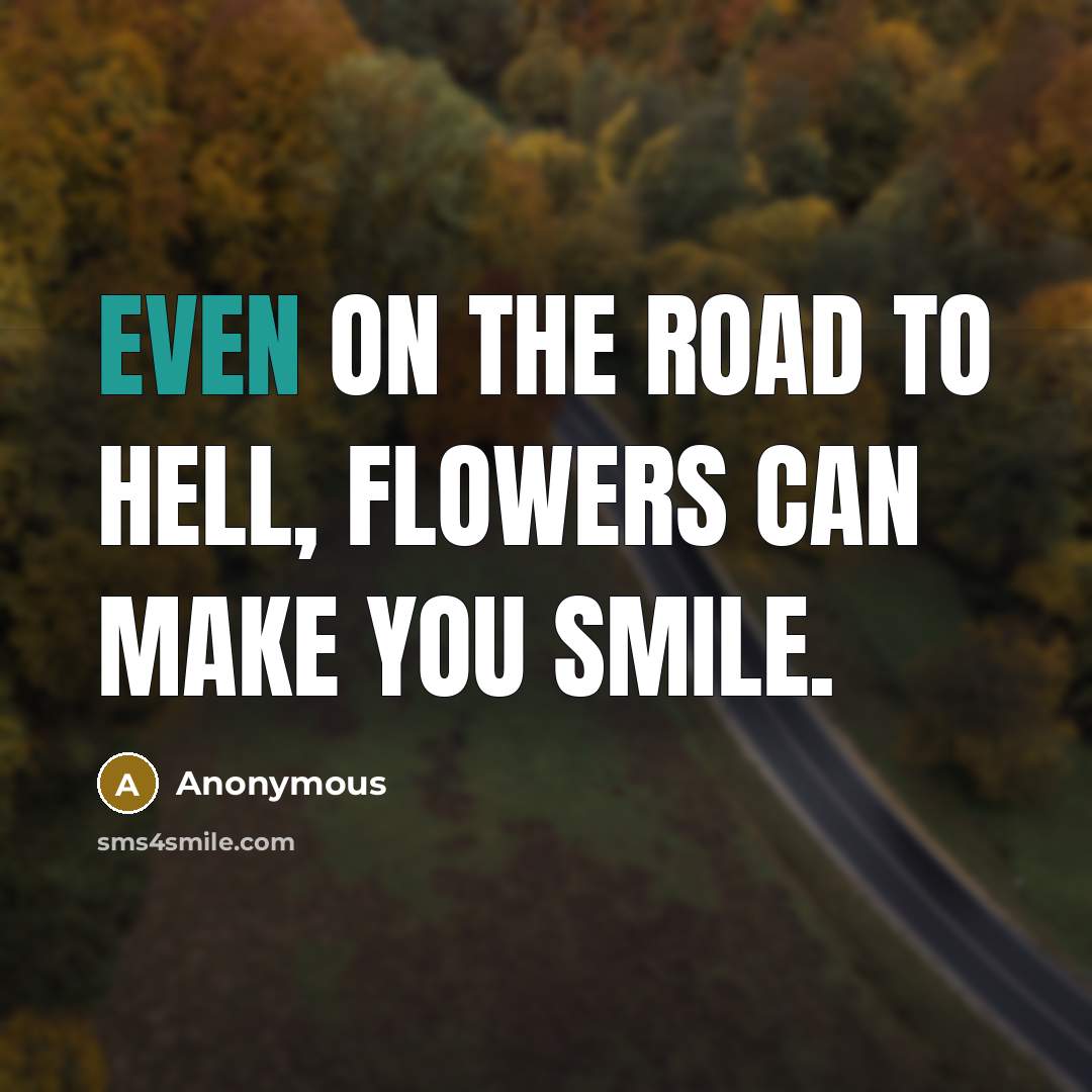 “Even on the road to hell, flowers can make you…” quote by Anonymous