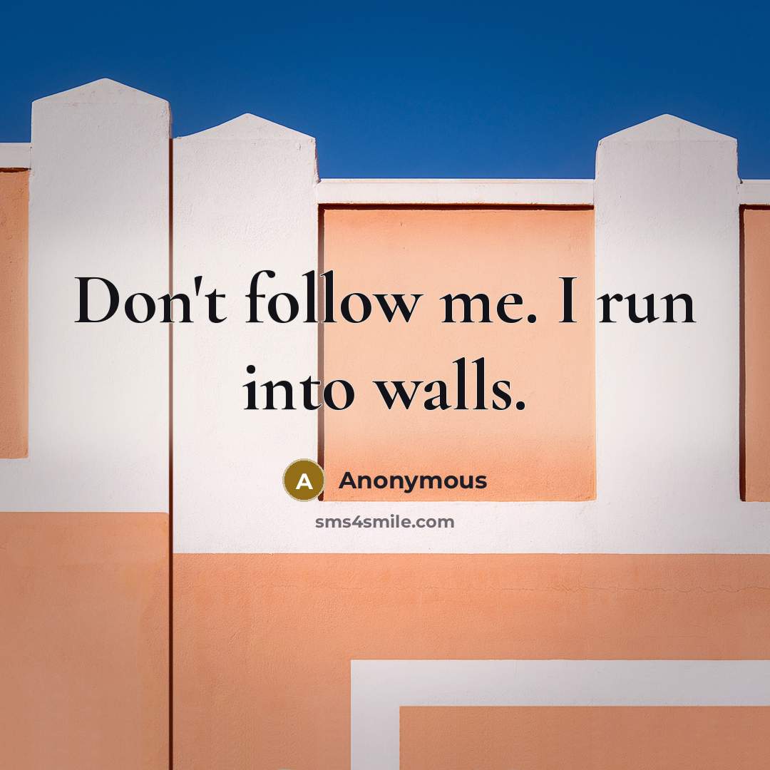 “Don't follow me. I run into walls.…” quote by Anonymous