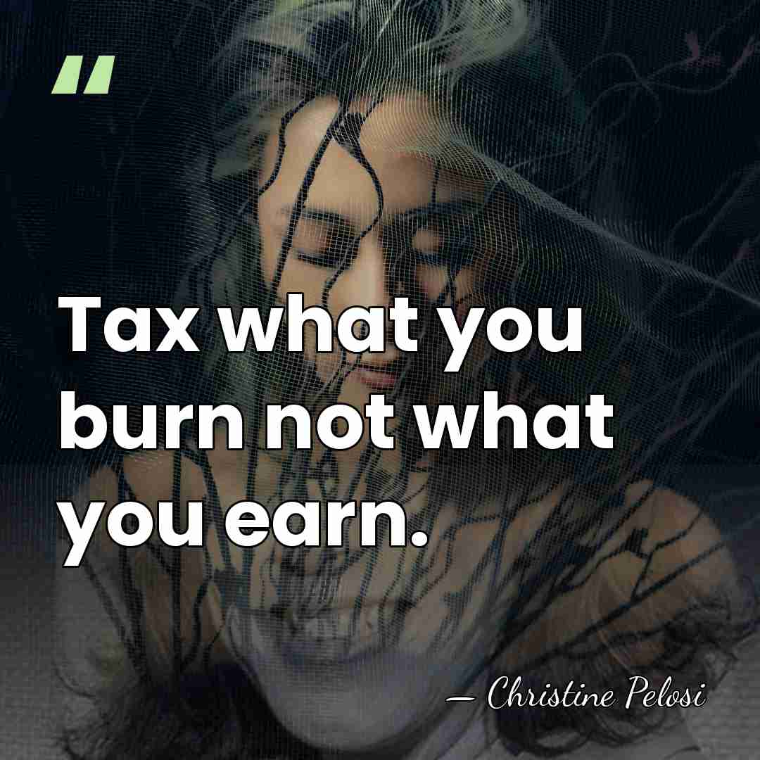 Tax what you burn not what you earn. - Christine Pelosi