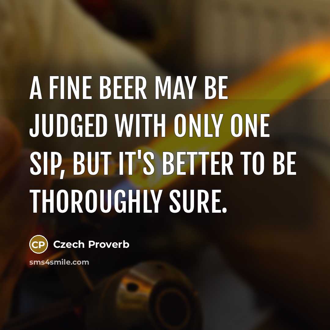 “A fine beer may be judged with only one sip,…” quote by Czech Proverb