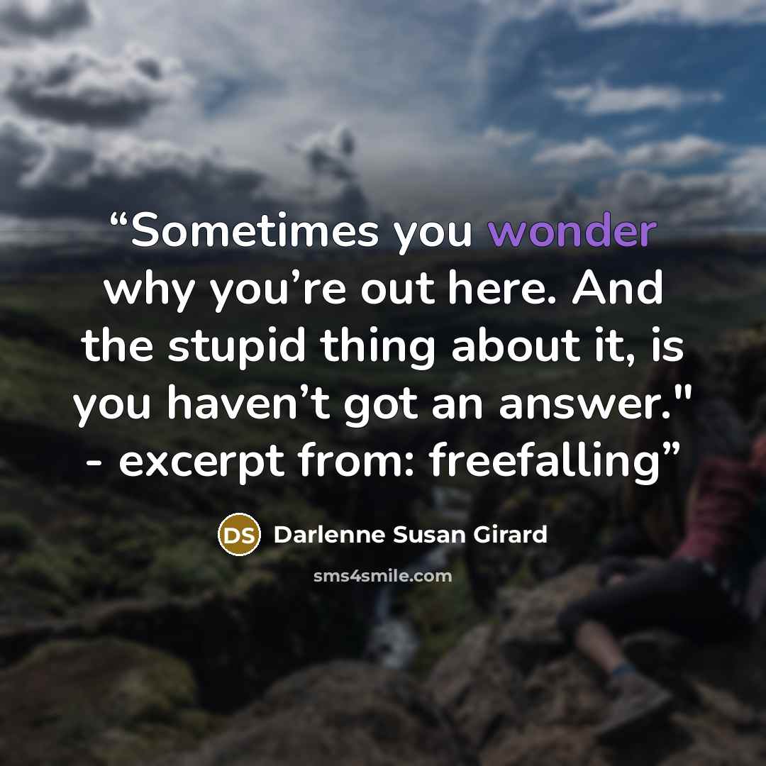 “Sometimes you wonder why you’re out here. And the stupid thing about it, is you haven’t got an answer." - excerpt from: freefalling” quote by Darlenne Susan Girard