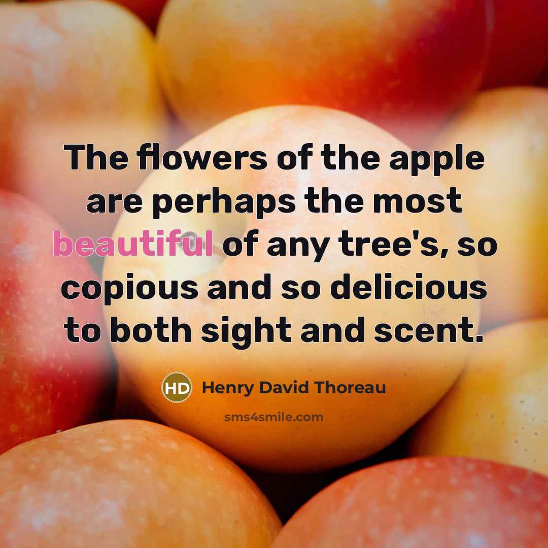“The flowers of the apple are perhaps the most beautiful…” quote by Henry David Thoreau
