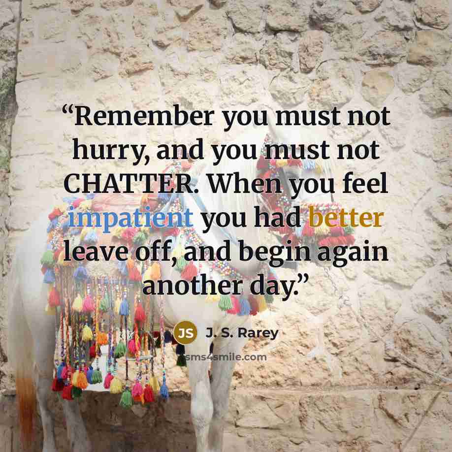 “Remember you must not hurry, and you must not CHATTER. When you feel impatient you had better leave off, and begin again another day.” quote by J. S. Rarey