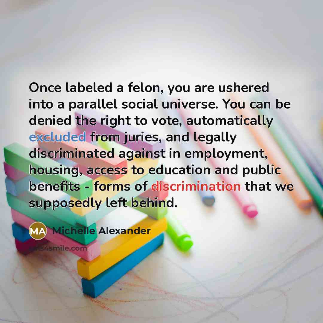 “Once labeled a felon, you are ushered into a parallel…” quote by Michelle Alexander