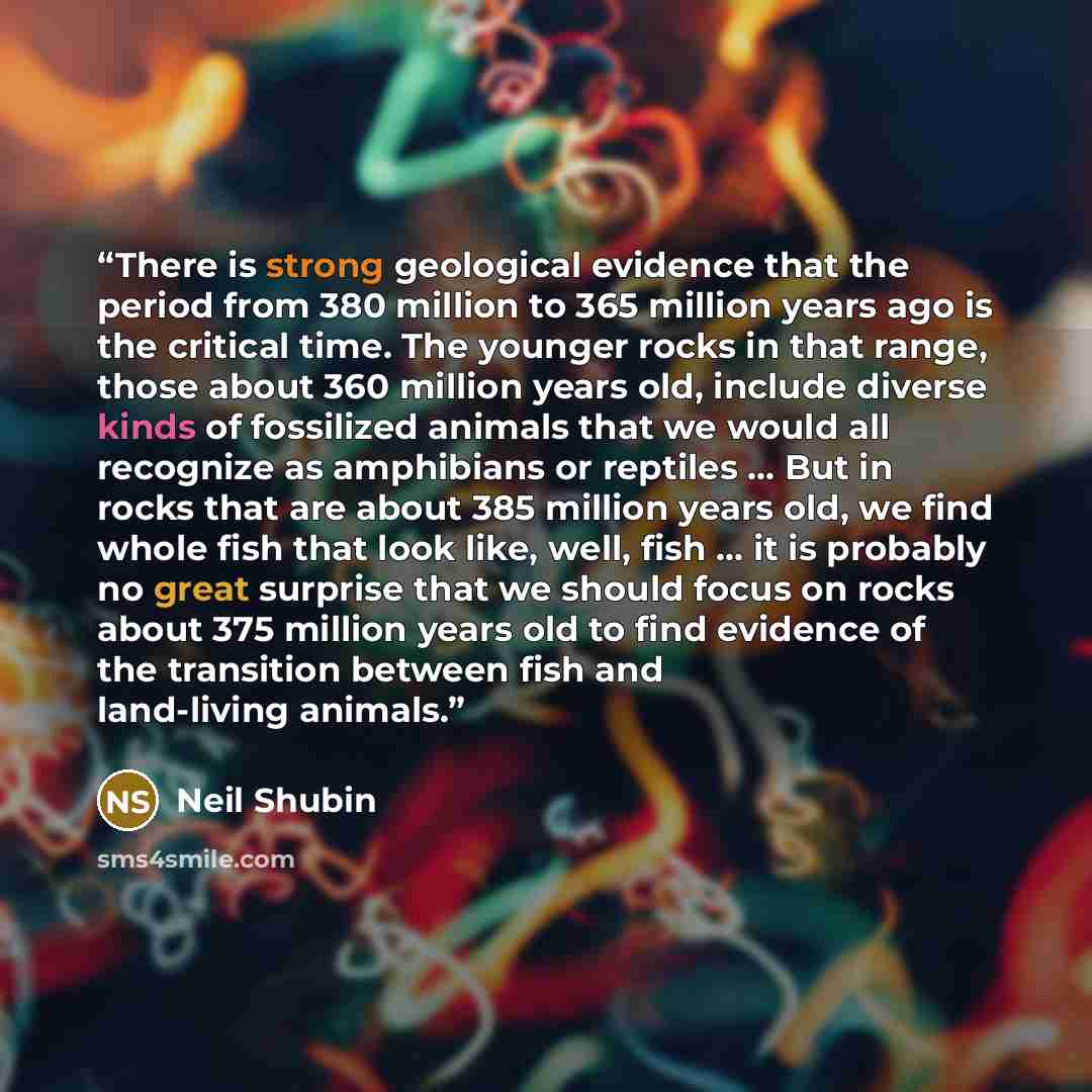 “There is strong geological evidence that the period from 380 million to 365 million years ago is the critical time. The younger rocks in that range, those about 360 million years old, include diverse kinds of fossilized animals that we would all recognize as amphibians or reptiles ... But in rocks…” quote by Neil Shubin