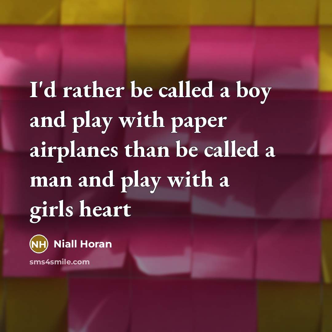 “I'd rather be called a boy and play with paper…” quote by Niall Horan