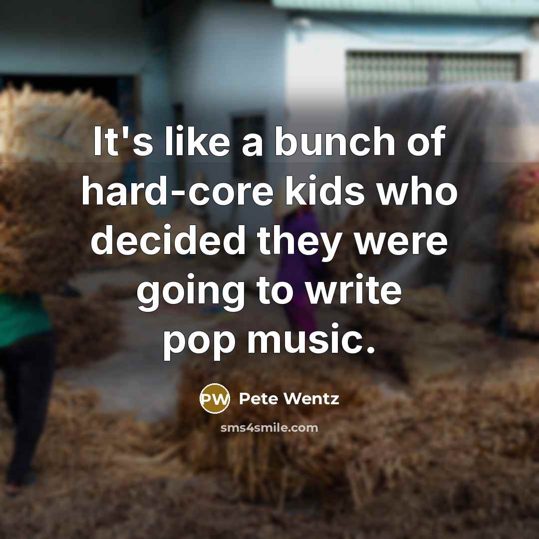 “It's like a bunch of hard-core kids who decided they were going to write pop music.” quote by Pete Wentz