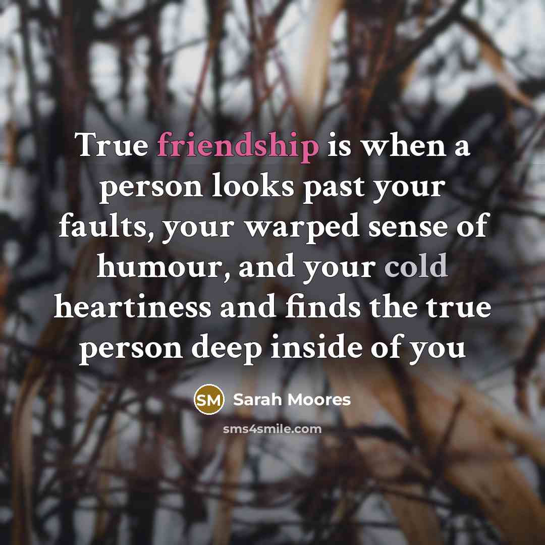 “True friendship is when a person looks past your faults,…” quote by Sarah Moores