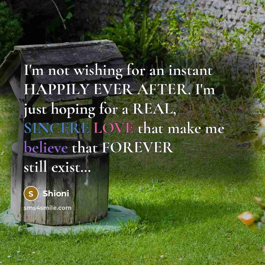 “I'm not wishing for an instant HAPPILY EVER AFTER. I'm…” quote by Shioni
