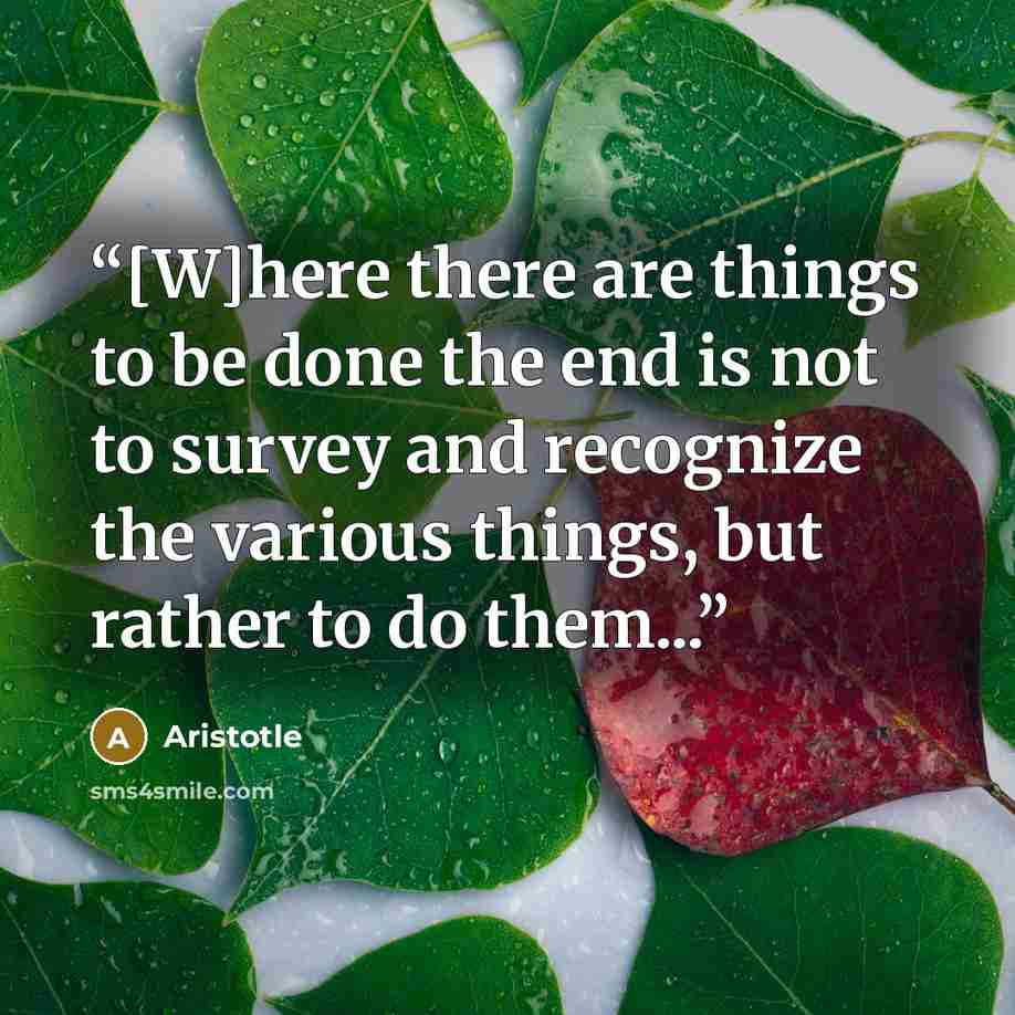“[W]here there are things to be done the end is not to survey and recognize the various things, but rather to do them...” quote by Aristotle