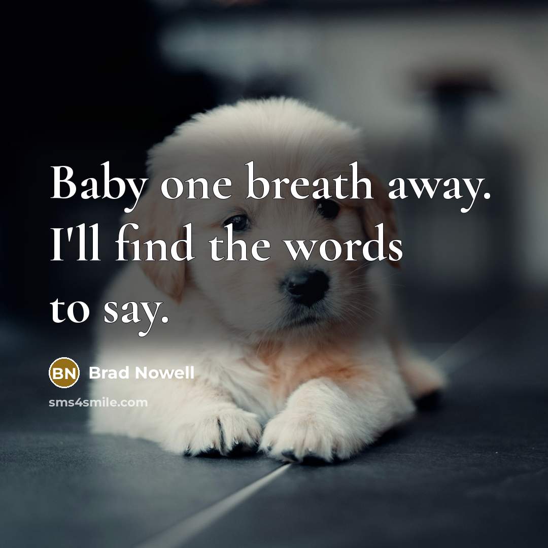 “Baby one breath away. I'll find the words to say.…” quote by Brad Nowell