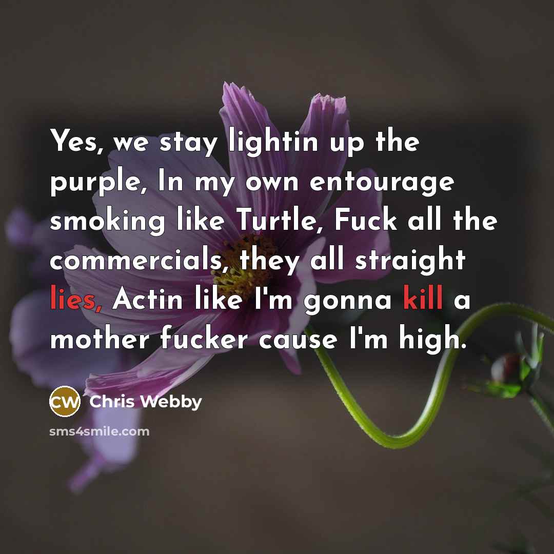 “Yes, we stay lightin up the purple, In my own entourage smoking like Turtle, Fuck all the commercials, they all straight lies, Actin like I'm gonna kill a mother fucker cause I'm high.” quote by Chris Webby