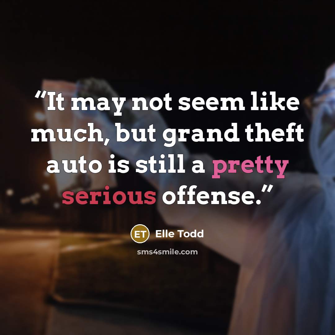 “It may not seem like much, but grand theft auto is still a pretty serious offense.” quote by Elle Todd